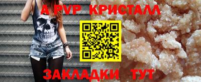 стаф Тула