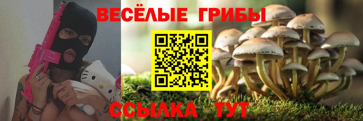 Волгодонск  Галлюциногенные грибы Magic Shrooms  где можно купить   Вход с VPN 